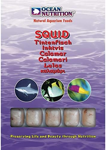 Ocean Nutrition Squid 100g