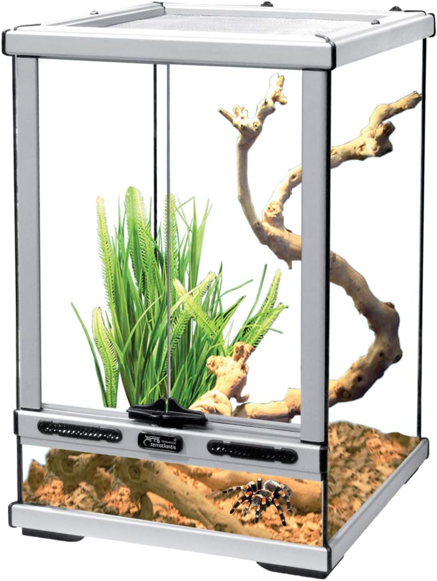 Glass Terrarium 30 x 30 x 45 cm