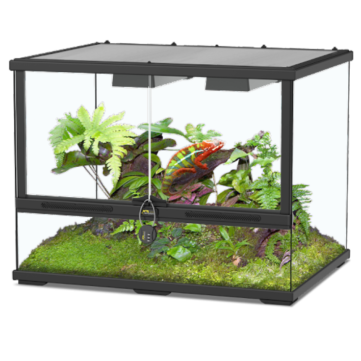 Glass Terrarium 60 x 45 x 45 cm