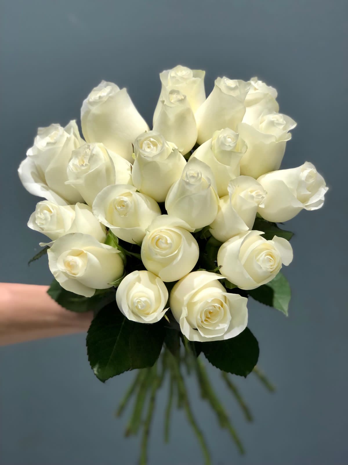 Rose Proud White (10 Stems)