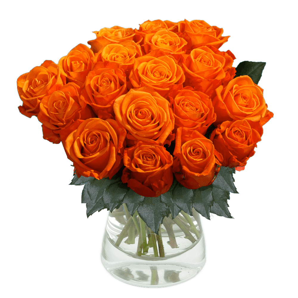 Rose Spray Babe Orange (10 Stems)