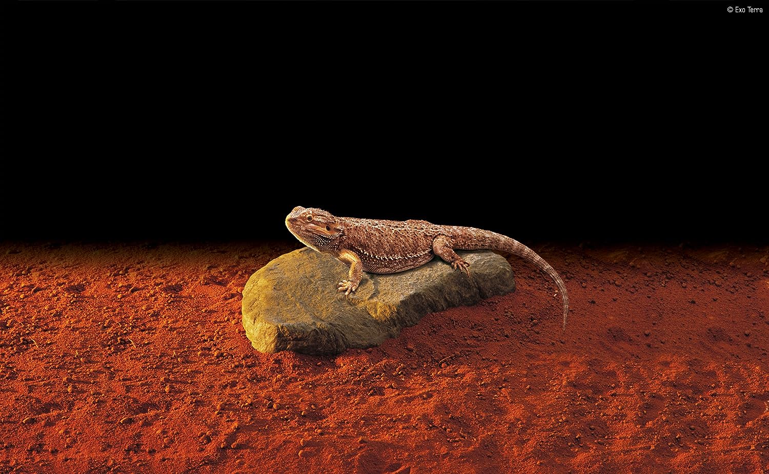 Heat Wave Rock - Large 15W