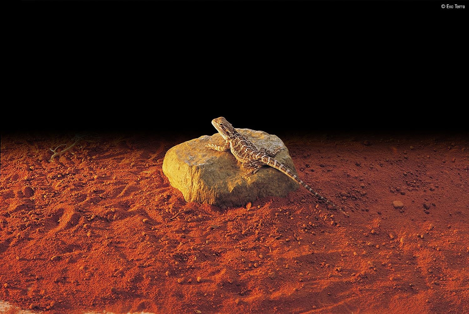 Heat Wave Rock - Medium 10W