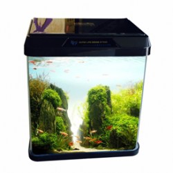 OBLONG AQUARIUM TANK R230 (Color May Vary)