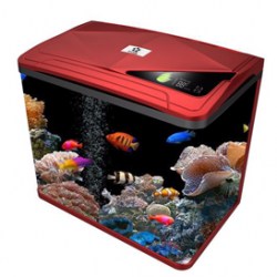 Oblong Aquarium Tank S400