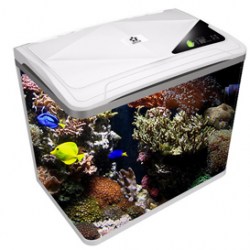 Oblong Aquarium Tank S400