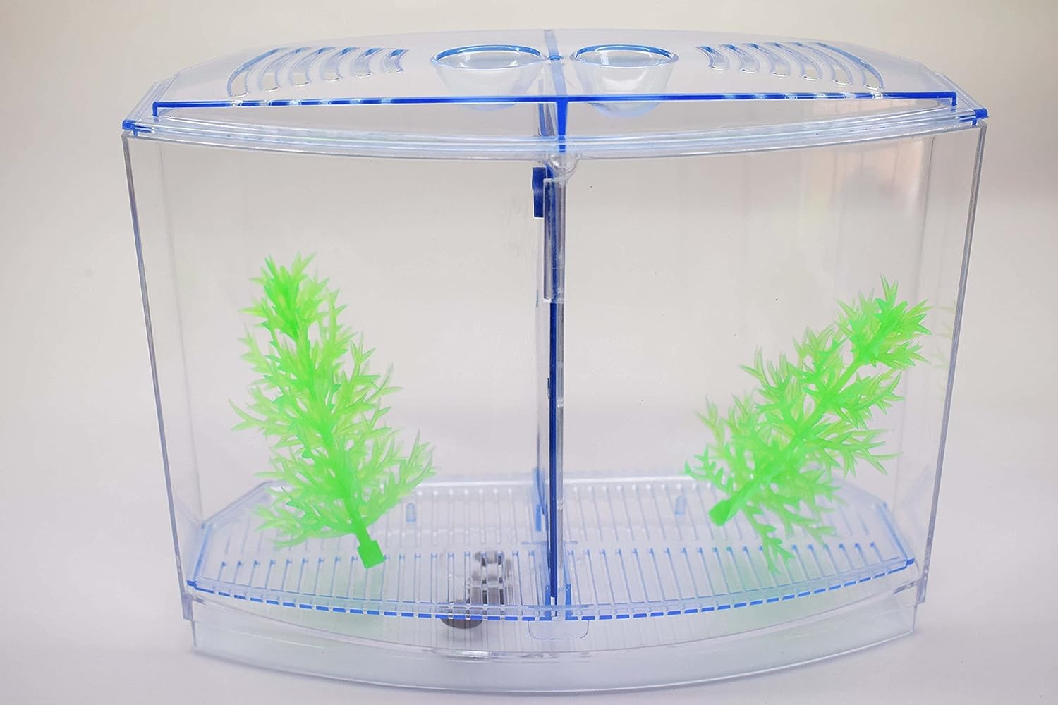 Betta House Double Tank