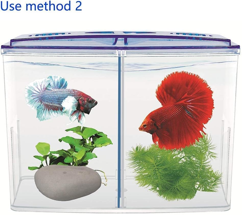 Betta House Double Tank