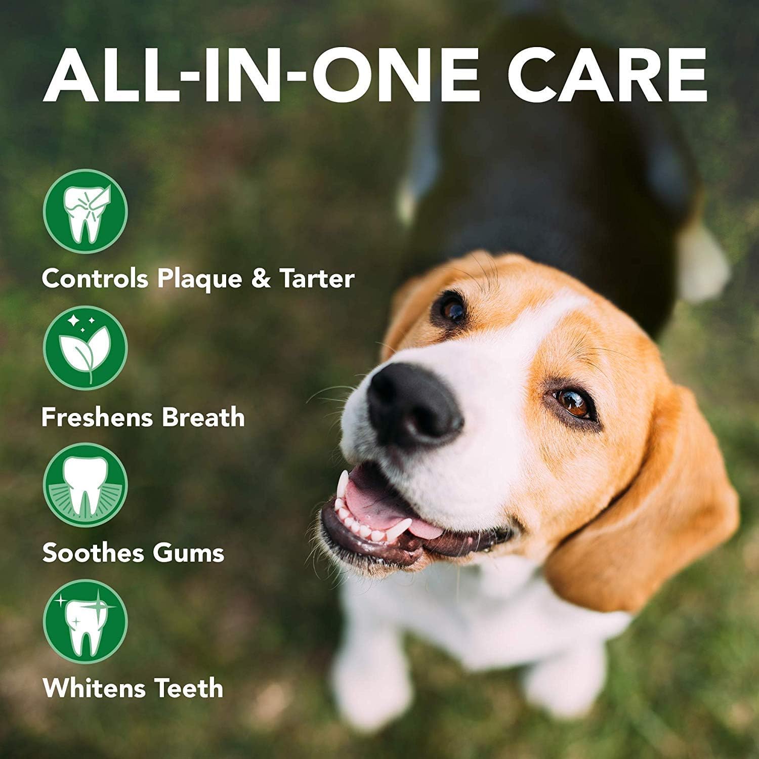 Vet’s Best Advanced Dental Powder for Dogs – 90g