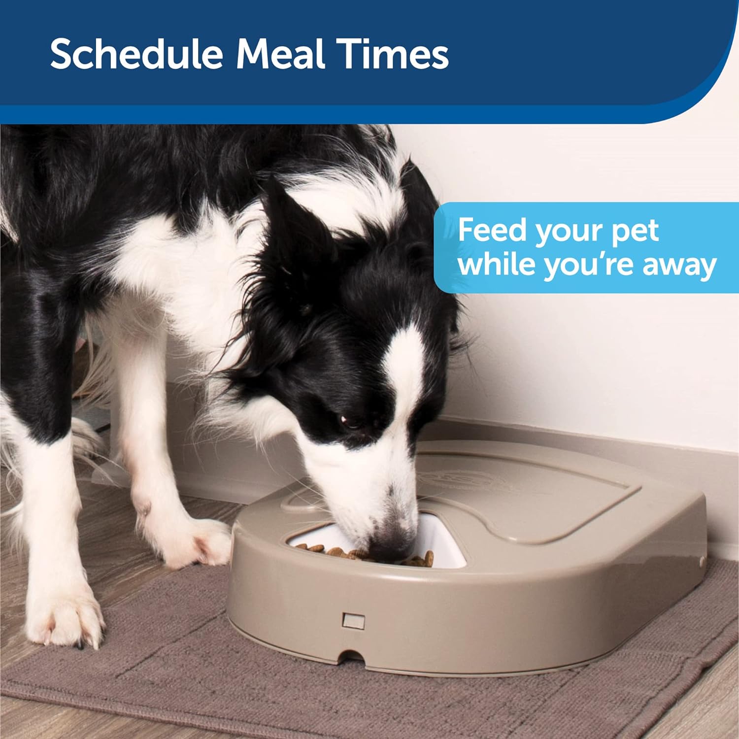 Pet Safe 5 Meal Pet Feeder