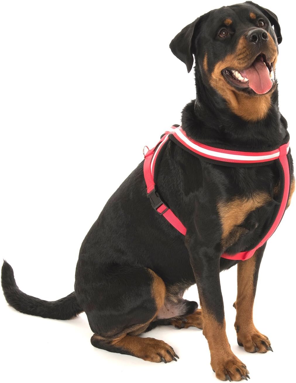 COA Comfy LFR1 Harness Red Toy Size