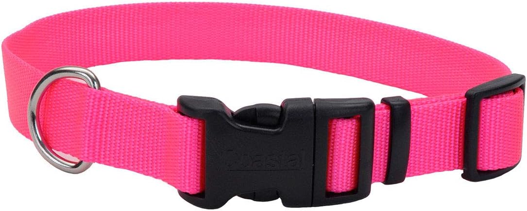 Coastal 1in Adj Dog Collar Medium Neon Pink