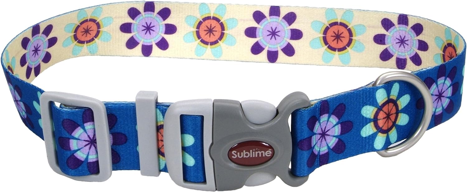 Coastal 1in Sublime Dog Collar Flower Purple and Yellow Medium