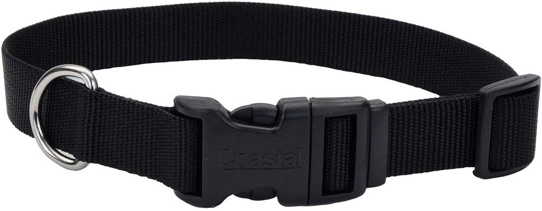 Coastal 1in Adj Dog  Collar Medium Black