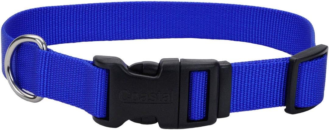 Coastal 1in Tuff Dog Collar Large Blue