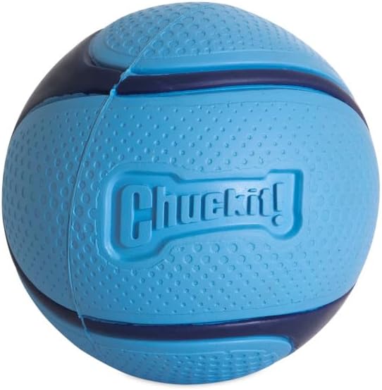 Chuckit! Sniff Fetch Ball Bacon Medium 1Pk