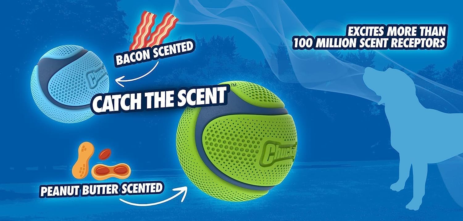 Chuckit! Sniff Fetch Ball Pb Md 1Pk