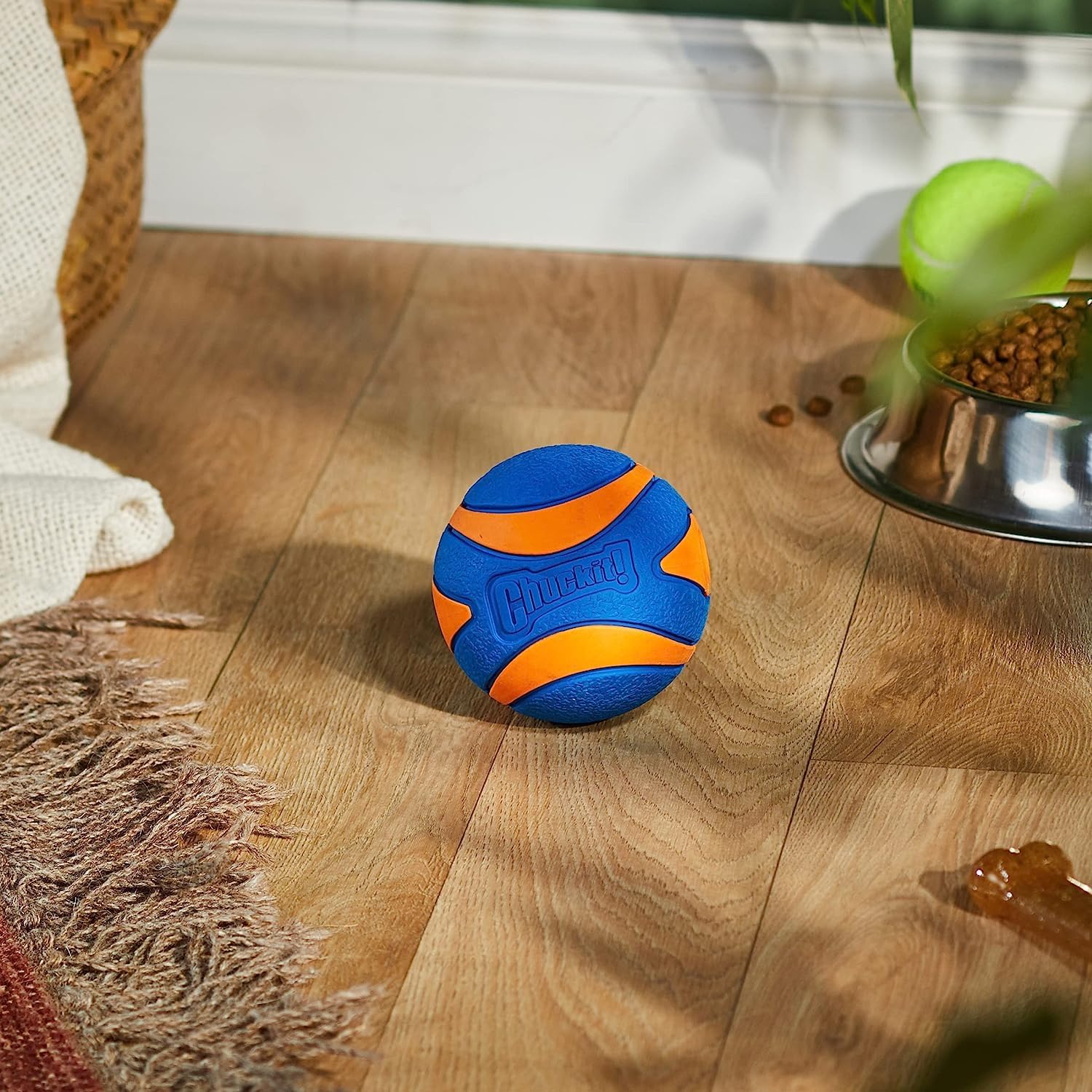 Chuckit! Ultra Squeaker Ball Medium 1-Pk