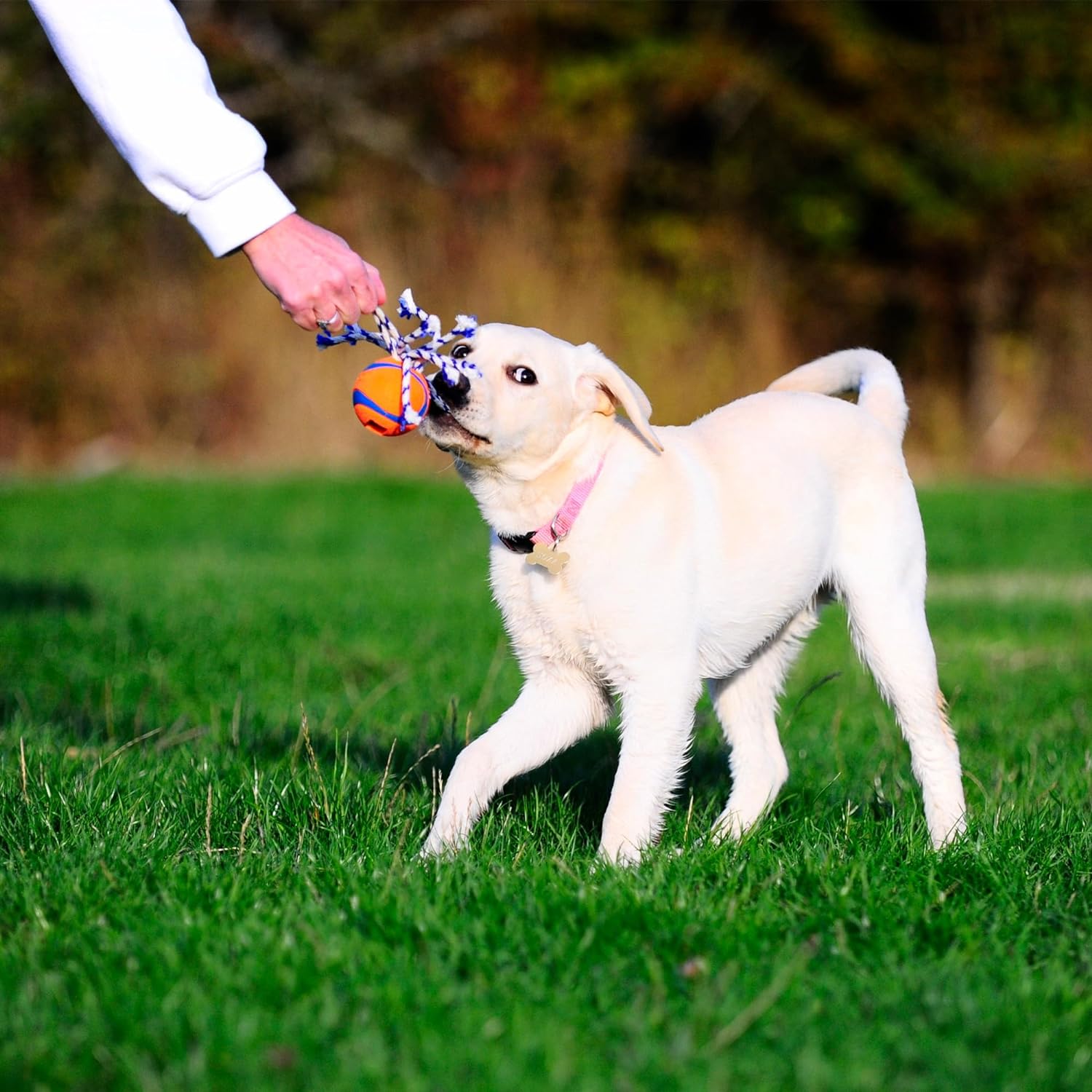 Chuckit! Ultra Toss Small
