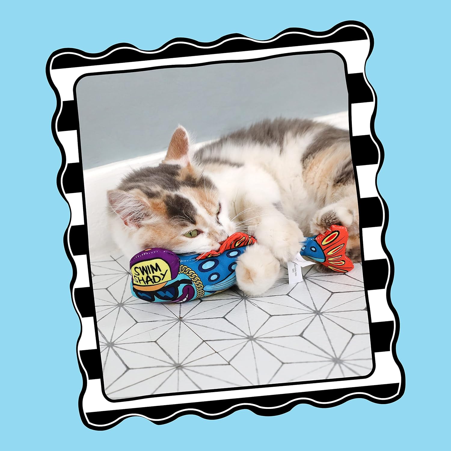 Fat Cat Catch Of The Day: Swim Shady