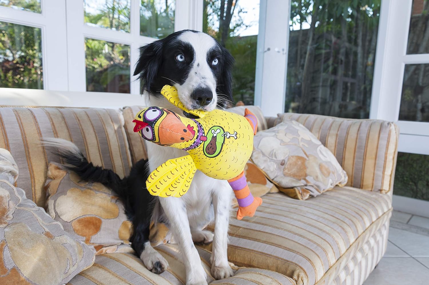 Fat Cat Classic Floppability - Barnyared Bullies