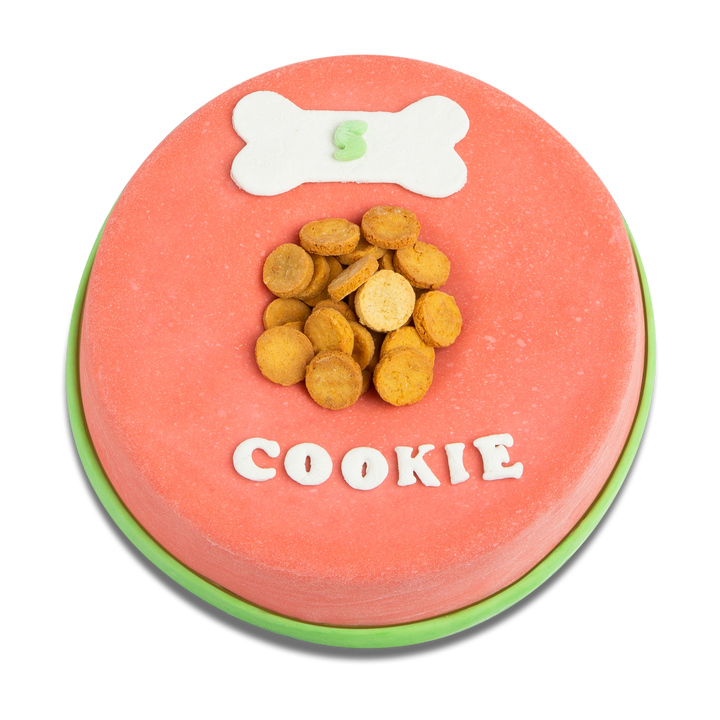 Doggy-Bowl Cake for Dogs (Pink)