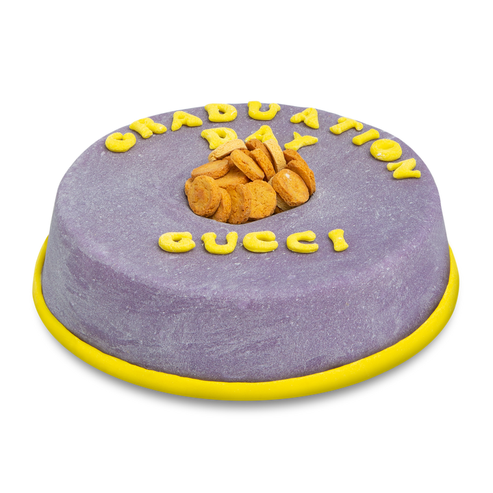 Doggy-Bowl Cake for Dogs (Purple)