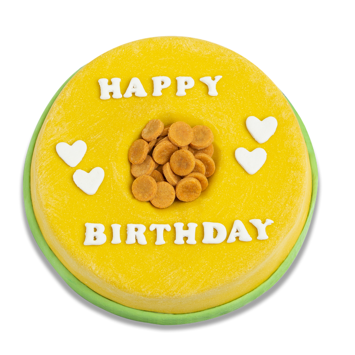 Doggy-Bowl Cake for Dogs (Yellow)
