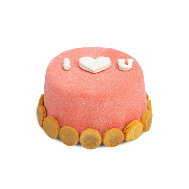 Le Mini Cake for Dogs (Pink)
