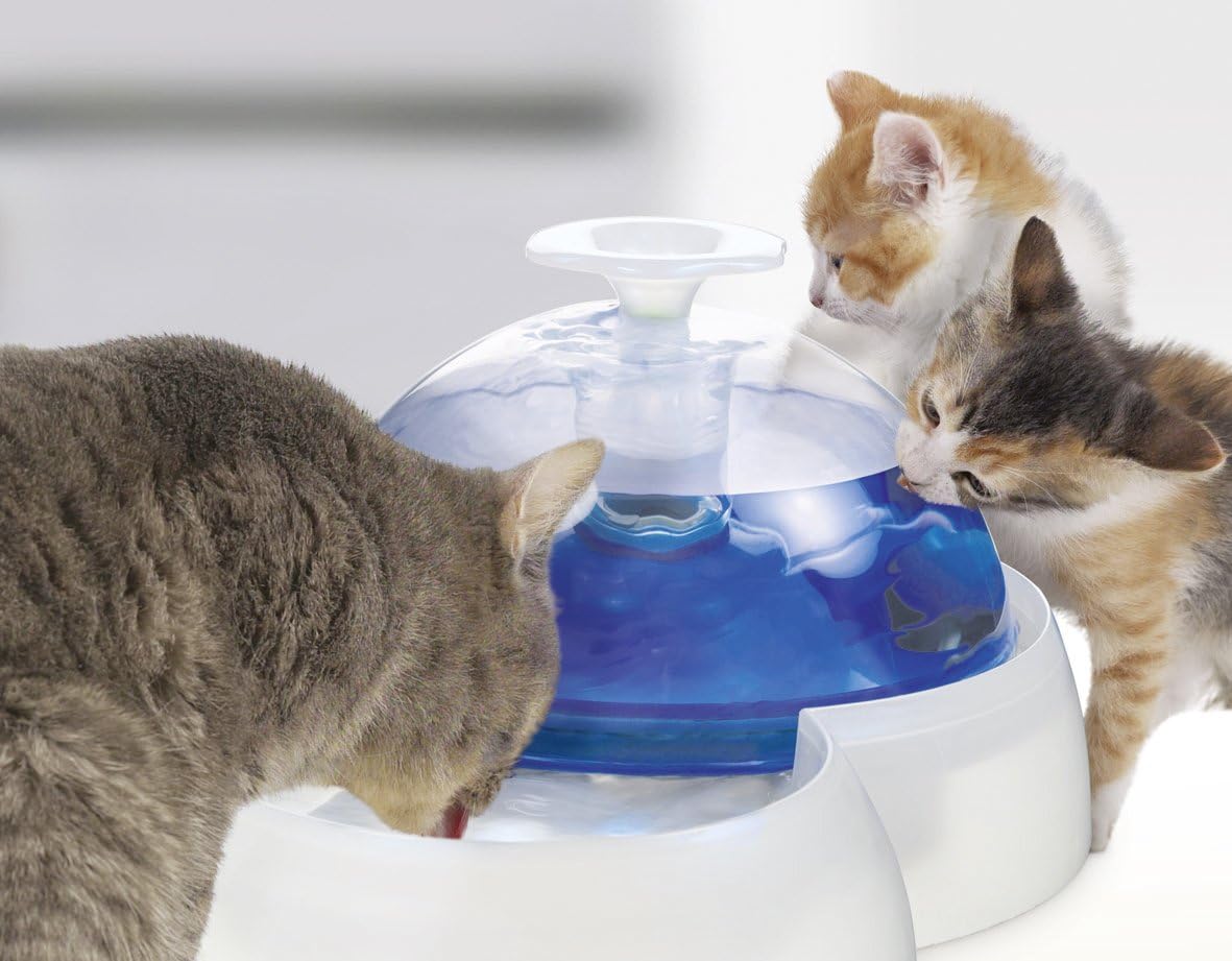 Catit Fresh & Clear Drinking Fountain for Cats and Puppies