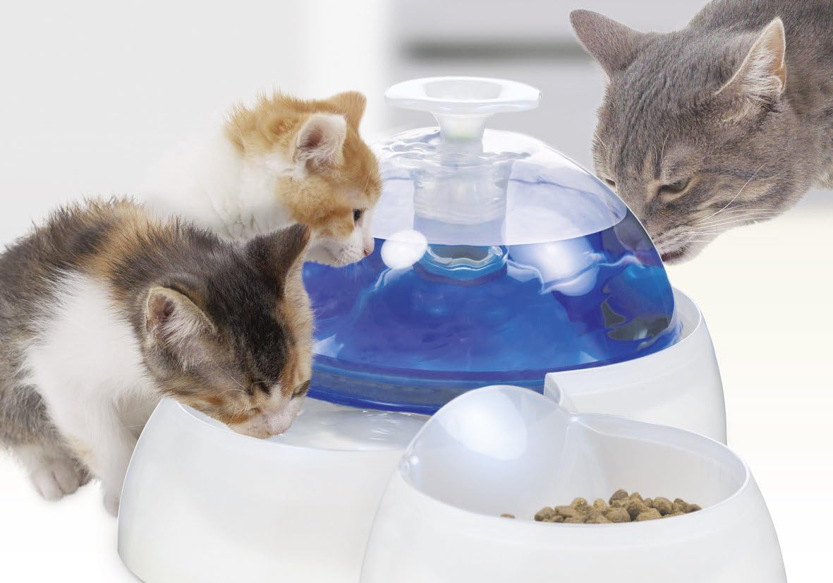 Catit fresh & clearance clear drinking fountain