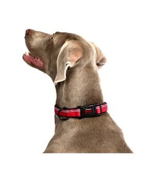 COA HC014 HALTI Collar Red Small