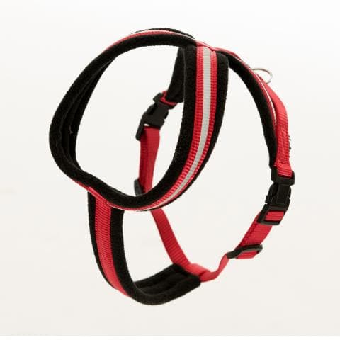 COA LFR5 Comfy Harness Red Medium Size