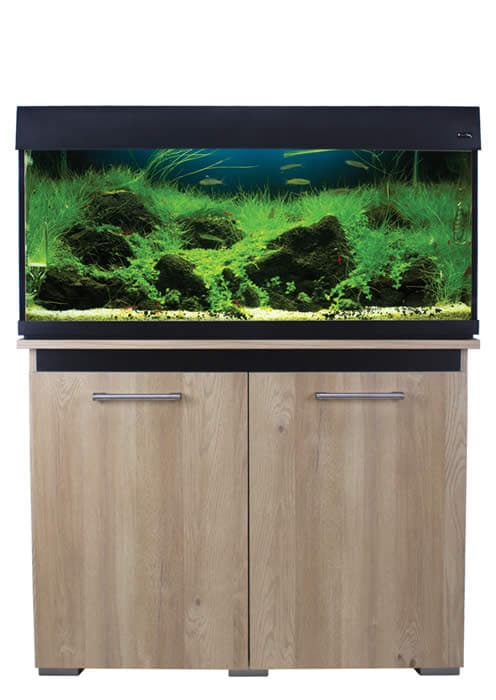 Aqua One Cabinet 170 Only - 100cm Nash Oak With Black