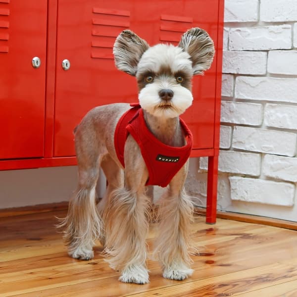 Puppia Soft Vest Harness B Red M 14.6'-15.4"