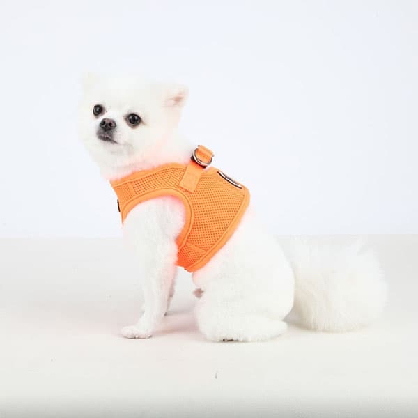 PUPPIA NEON SOFT VEST HARNESS B ORANGE L Neck 11.41" Chest 16.92"