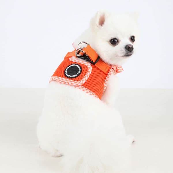 Puppia vivien harness best sale