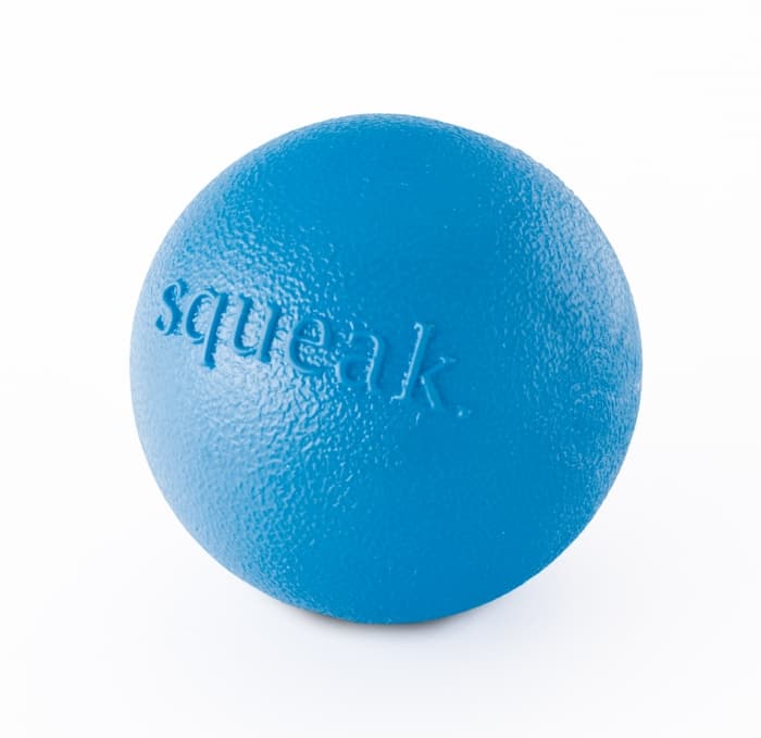 Planet Dog Squeak Ball Blu
