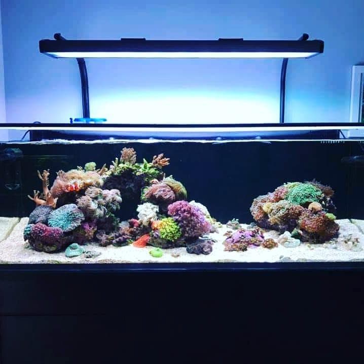 Illumagic X Series-180 Cm Marine