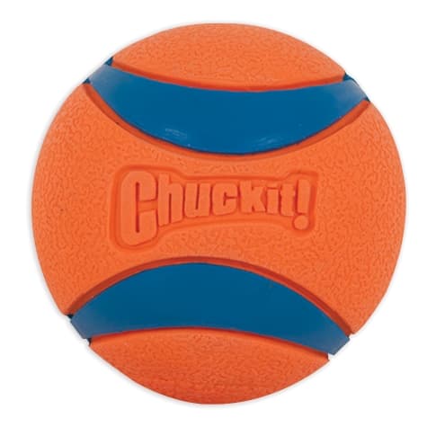 Chuckit hot sale medium balls