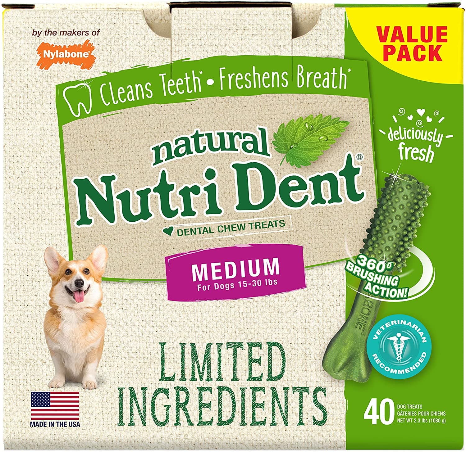 Nylabone Nutri Dent Fresh Breath Single Med