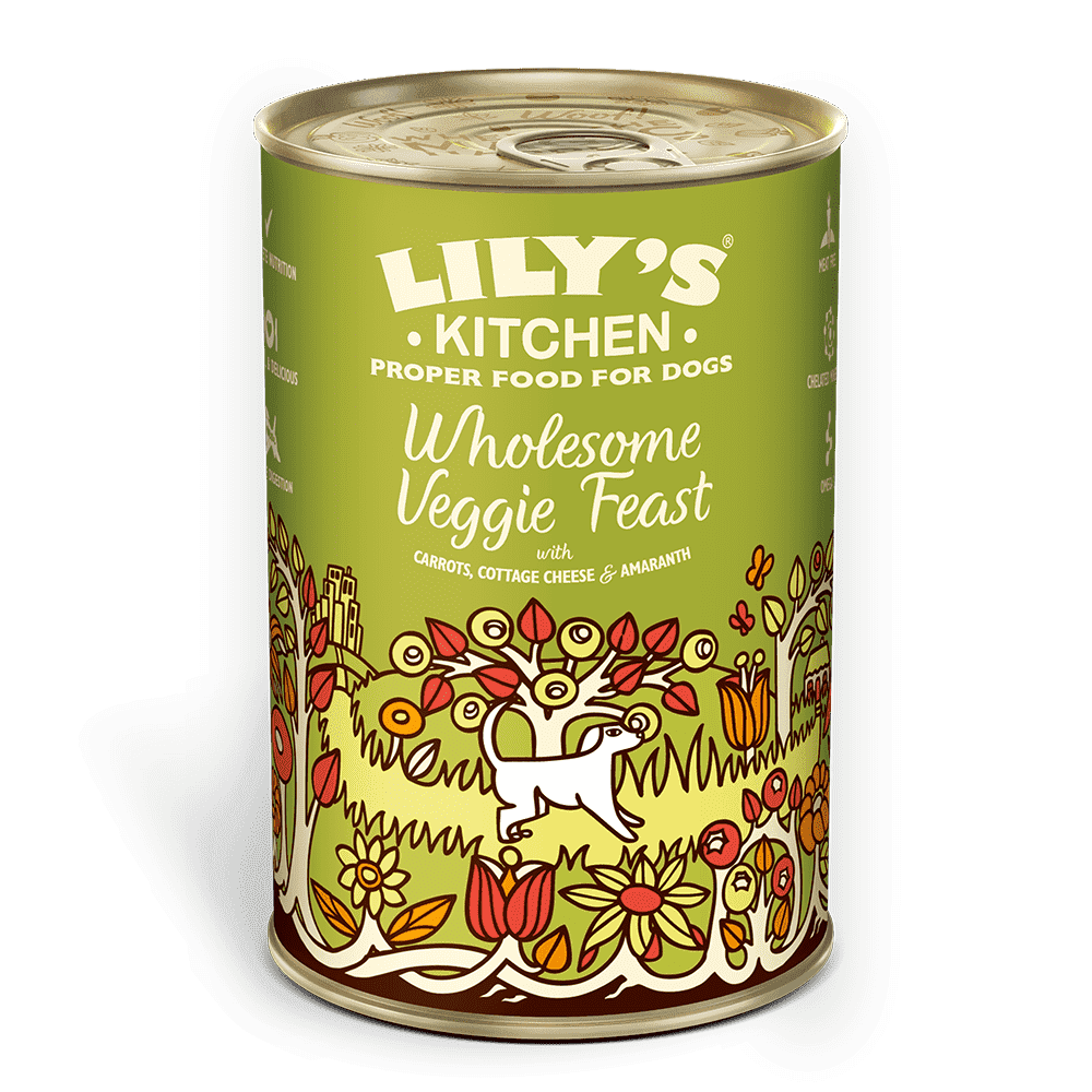 Lily's Kitchen Wholesome Veggie Feast Wet Dog Food (375g)