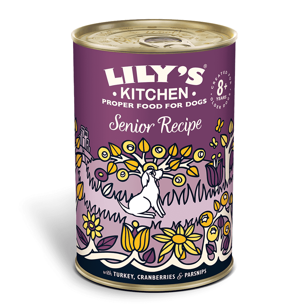 Lily's kitchen senior wet sales dog food