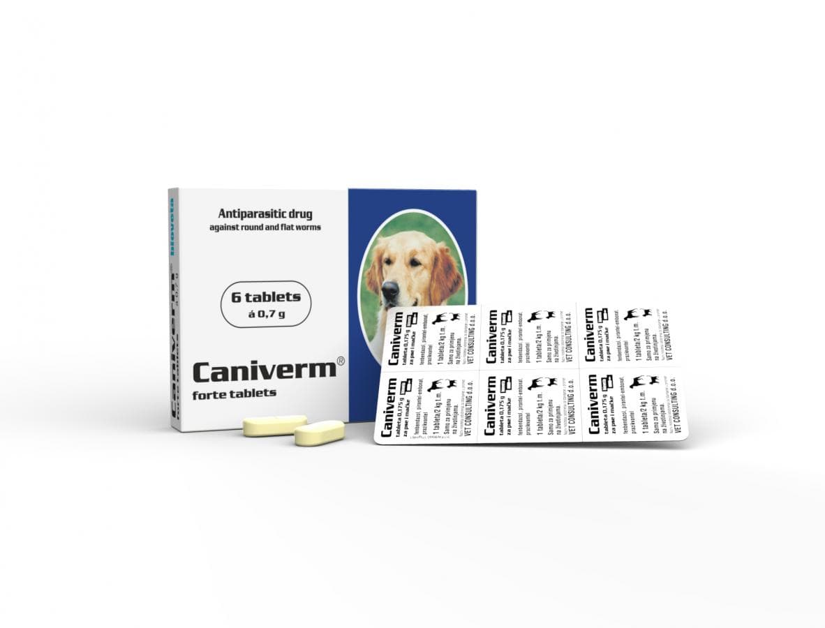 CANIVERM FORTE TABLETS 1 Tab for 10 Kgs