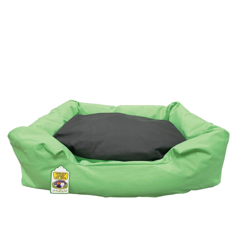 Nutrapet L-75Cm W-59Cm H-17Cm Lounger Bed Green & Black M Dog & Cat beds