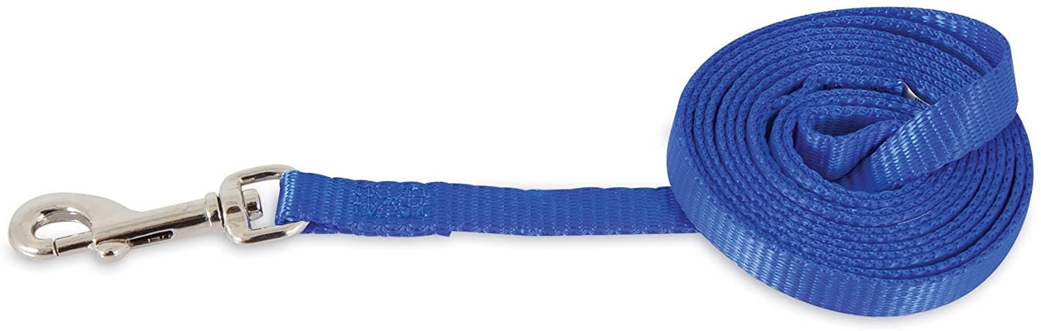 Petmate Aspen Pet Nylon Dog Lead 1"X5' Royal Blue