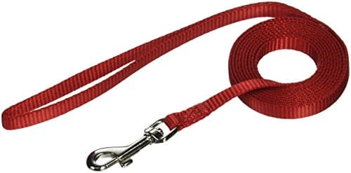 Petmate Nylon Dog Leash 1"X6' Red