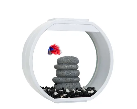 AA Aquarium Deco O Mini Designer Desktop Aquarium — 10L Circular Tank with Magic Touch LED, Hidden USB Filter, Quiet Air Pump & Easy-Clean Glass Panel | Korea-Made White