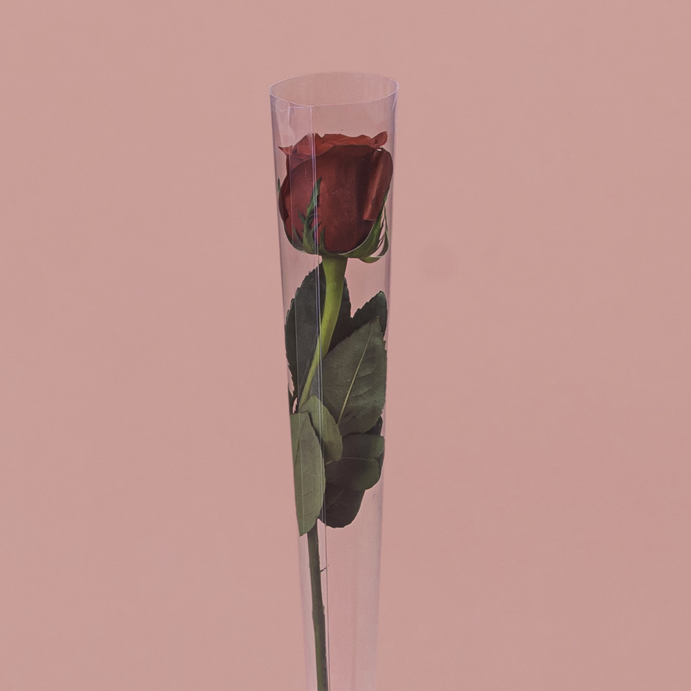Single Red Rose in Cone