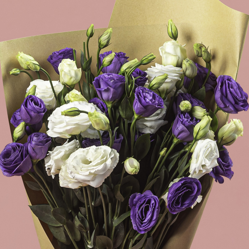 Mixed Lisianthus